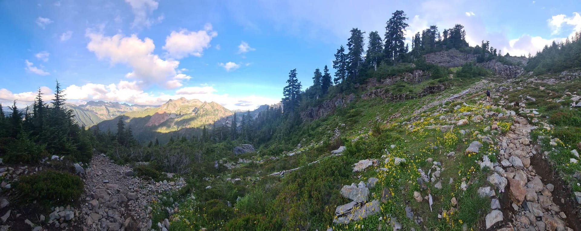 panoramic view of gothic basin trail in verlot, washington, wildflowers and mountain views