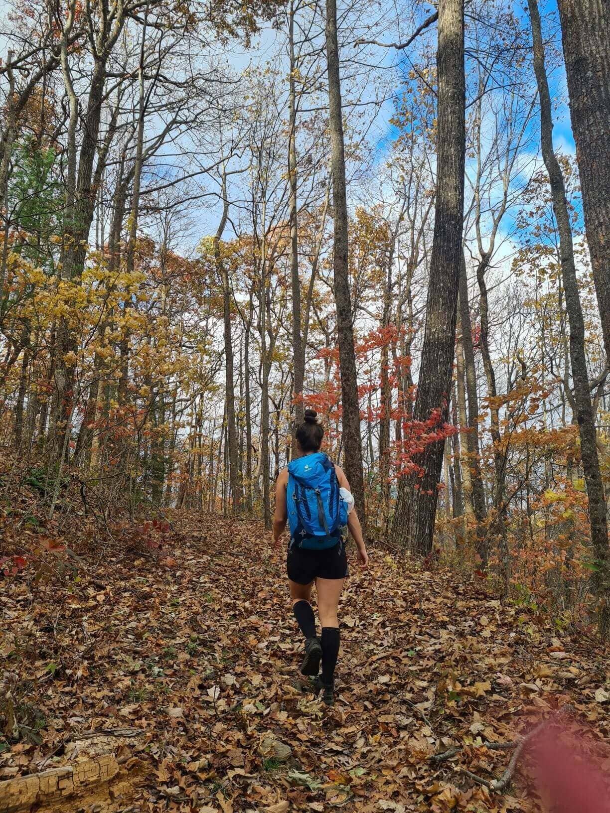 walking without hiking blisters at unicoi gap in the fall