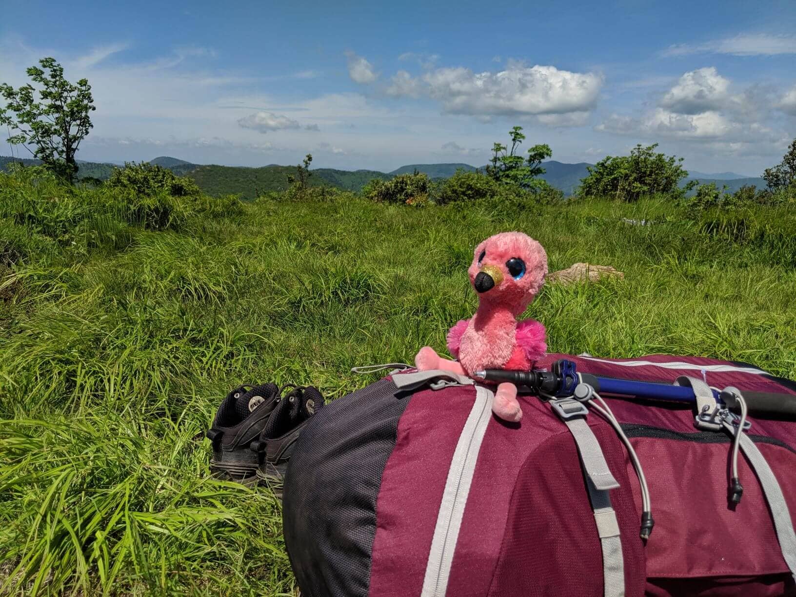 pink flamingo is definitely useful backpacking gear