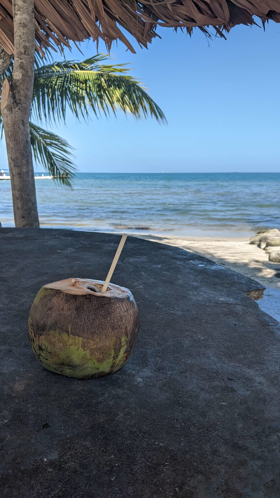 A coconut water in front of a beach scene